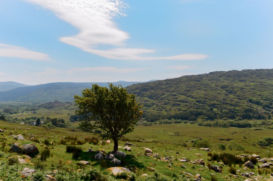The Sally Gap in a Small Hatchback: Wicklow's Military Road Done Right